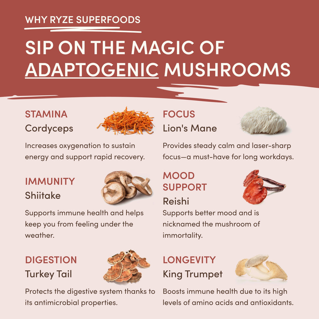 RYZE Functional Mushroom Chicory (30 Servings)