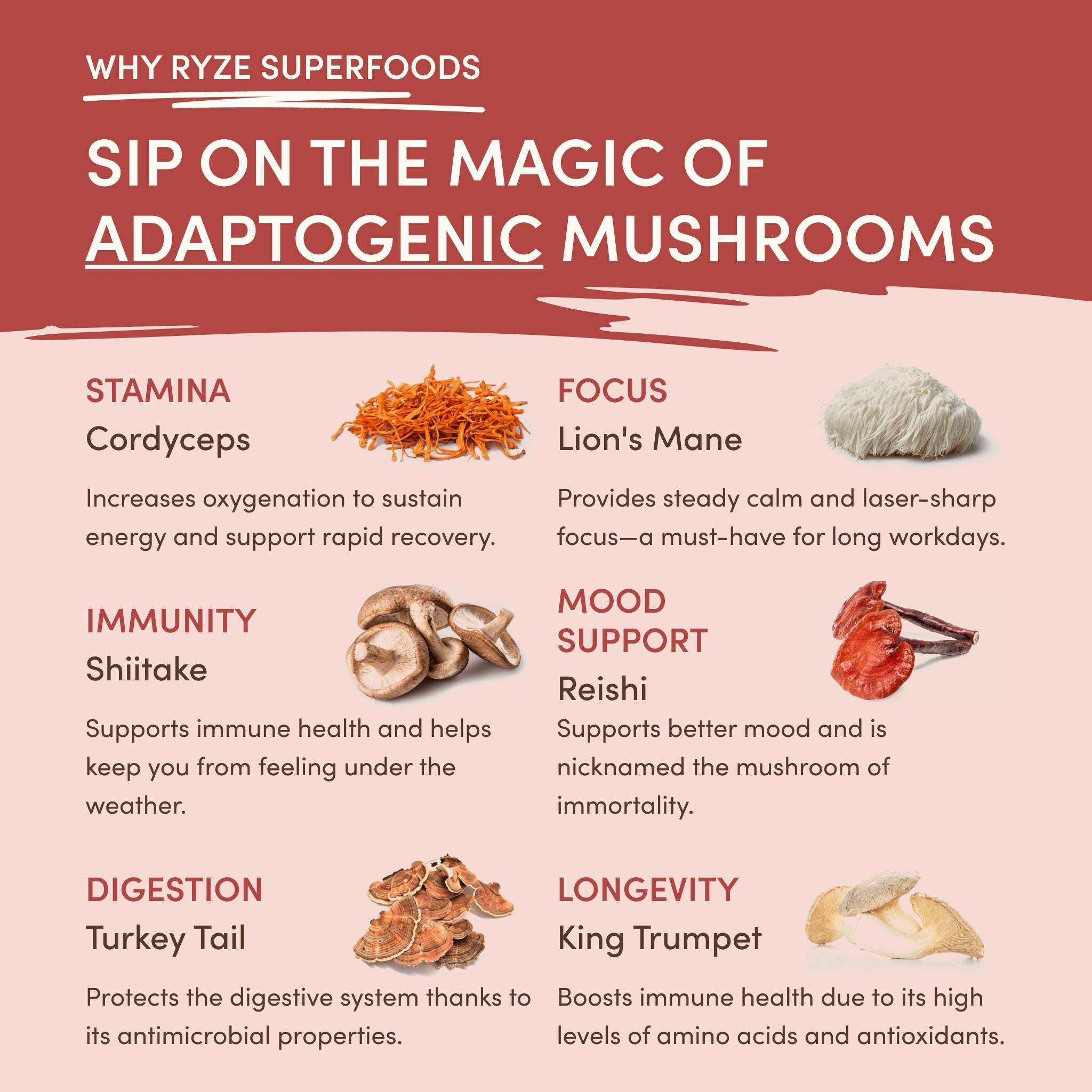 RYZE Functional Mushroom Chai (20 Servings)