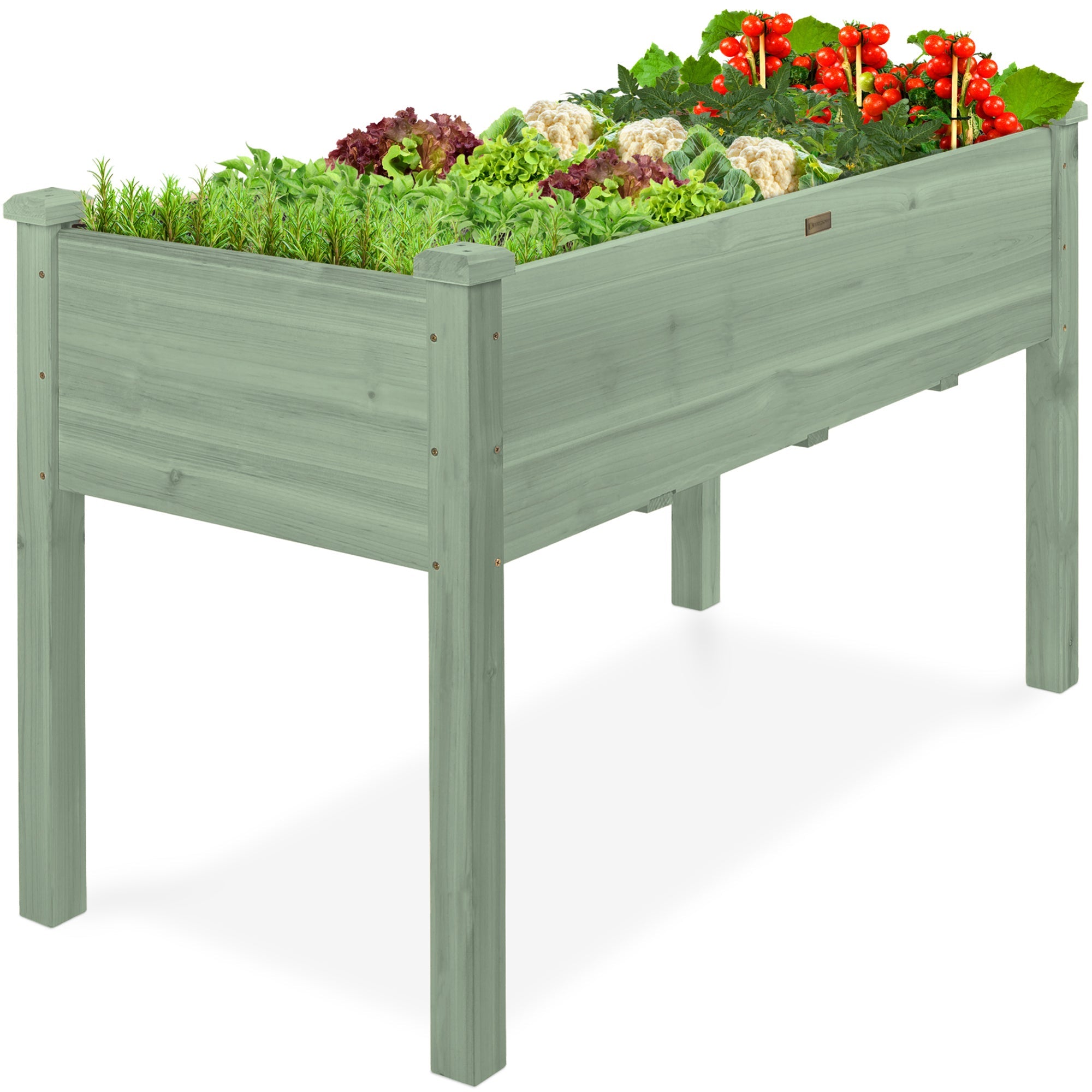Raised Garden Bed Elevated Wooden Planter Box w/ Foot Caps - 48x24x30in