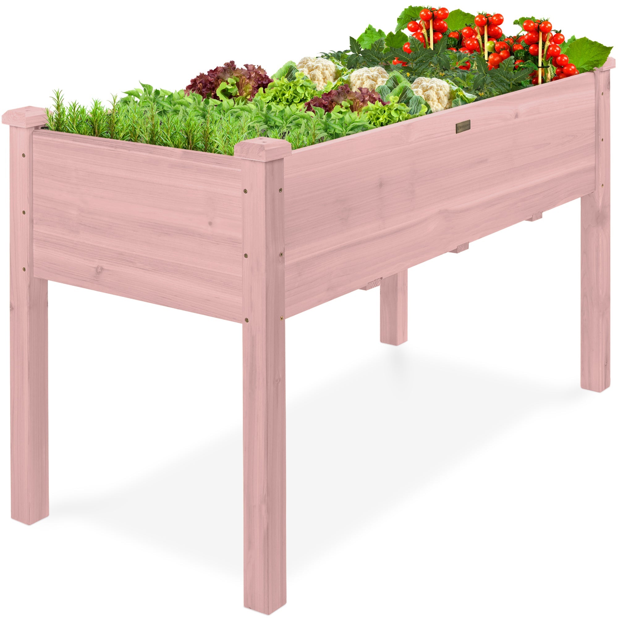 Raised Garden Bed Elevated Wooden Planter Box w/ Foot Caps - 48x24x30in