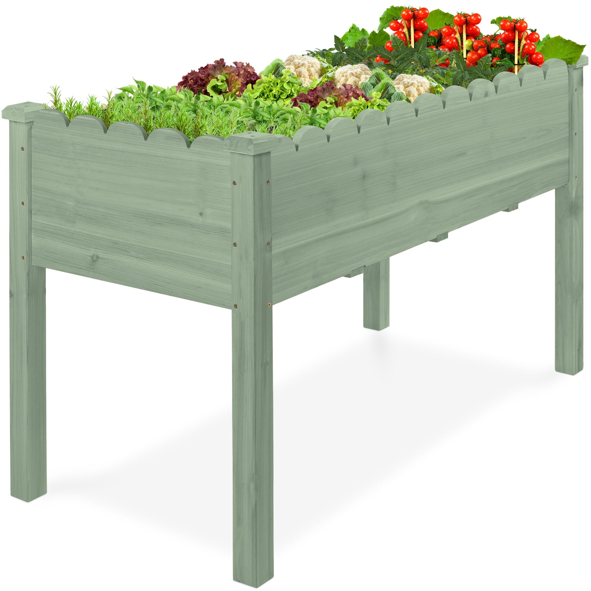 Raised Garden Bed Scalloped Elevated Wooden Planter Box - 48x24x30in