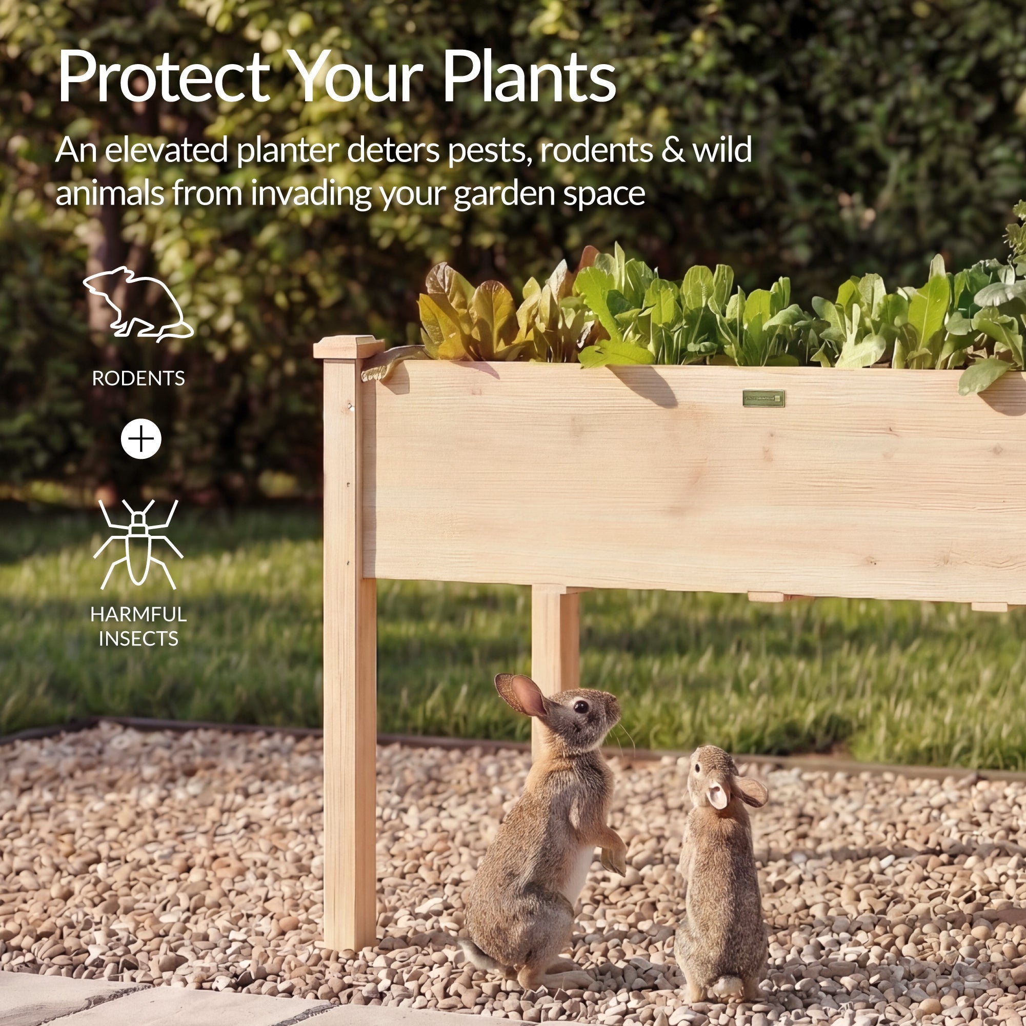 Raised Garden Bed Elevated Wooden Planter Box w/ Foot Caps - 48x24x30in