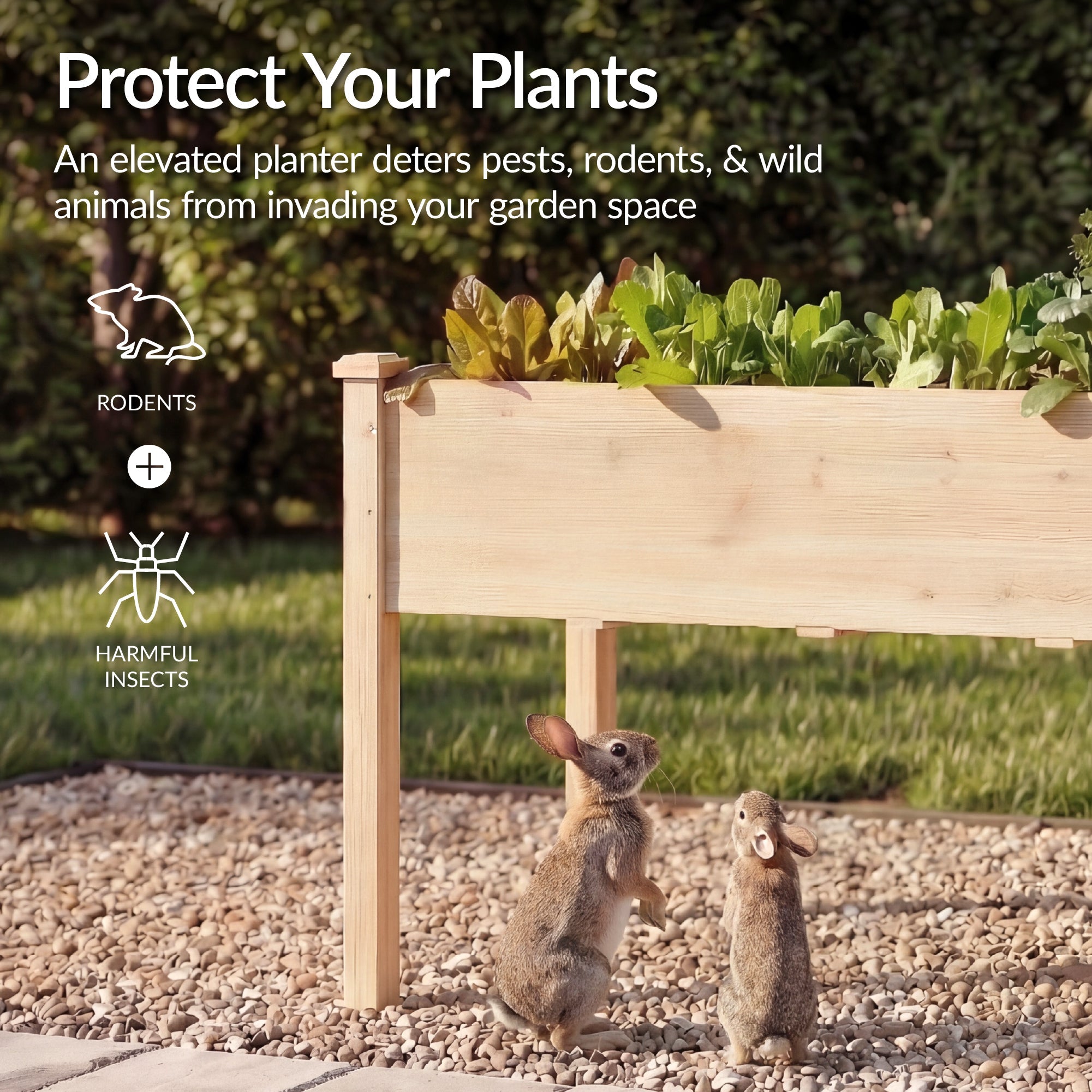 Raised Garden Bed Elevated Wood Garden Planter Stand - 72x24x30in